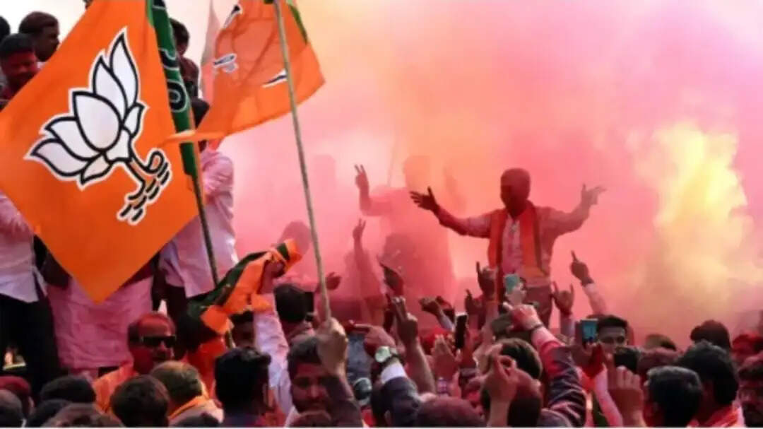 गुजरात की मांजलपुर विधानसभा उपचुनाव में भाजपा की बड़ी जीत, सतीश पटेल 30,499 मतों से विजयी