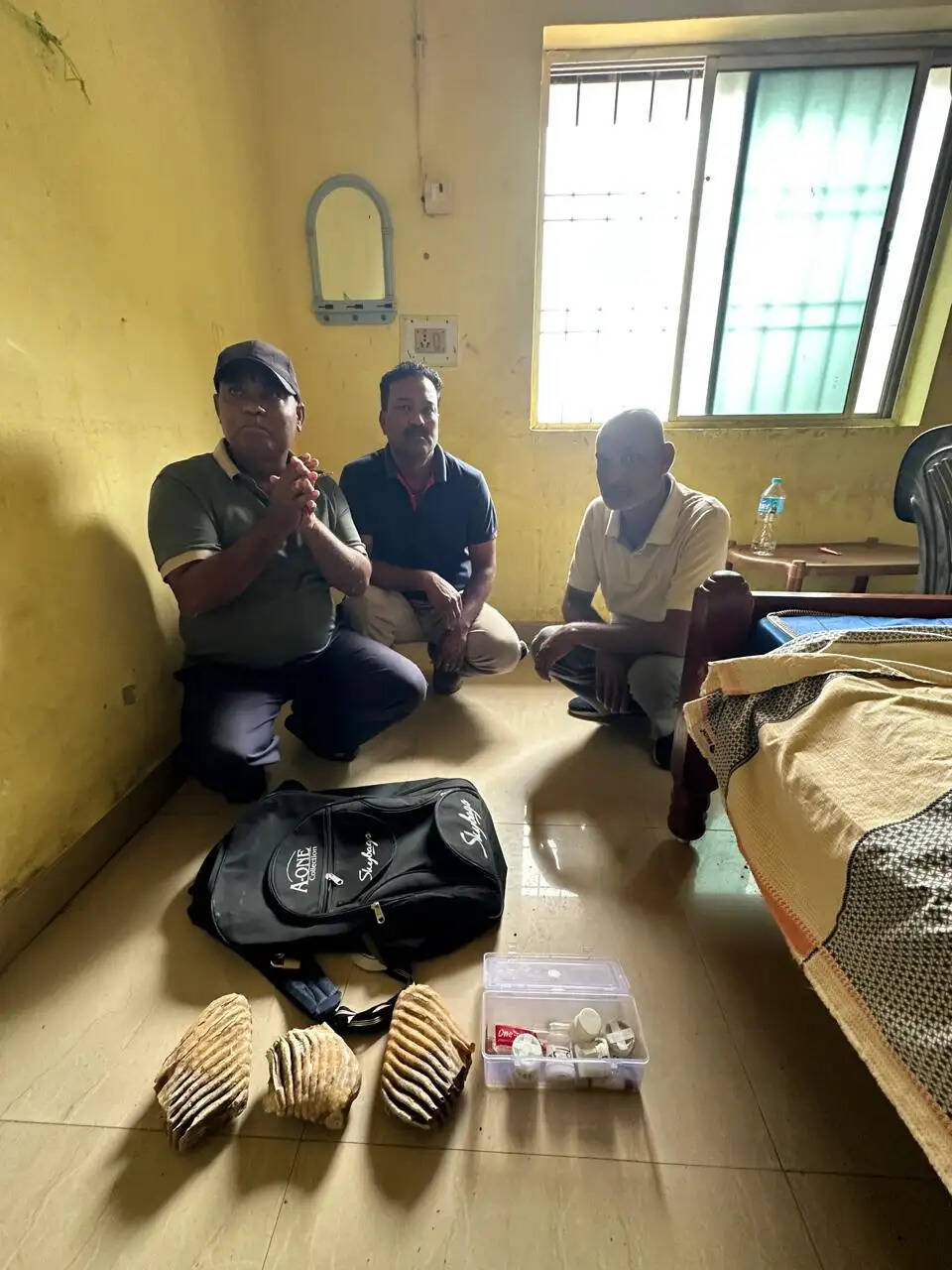हाथी दांत की तस्करी: रामानुजगंज की धर्मशाला में 3 हाथी दांत जब्त; तीन आरोपित जेल भेजे गए