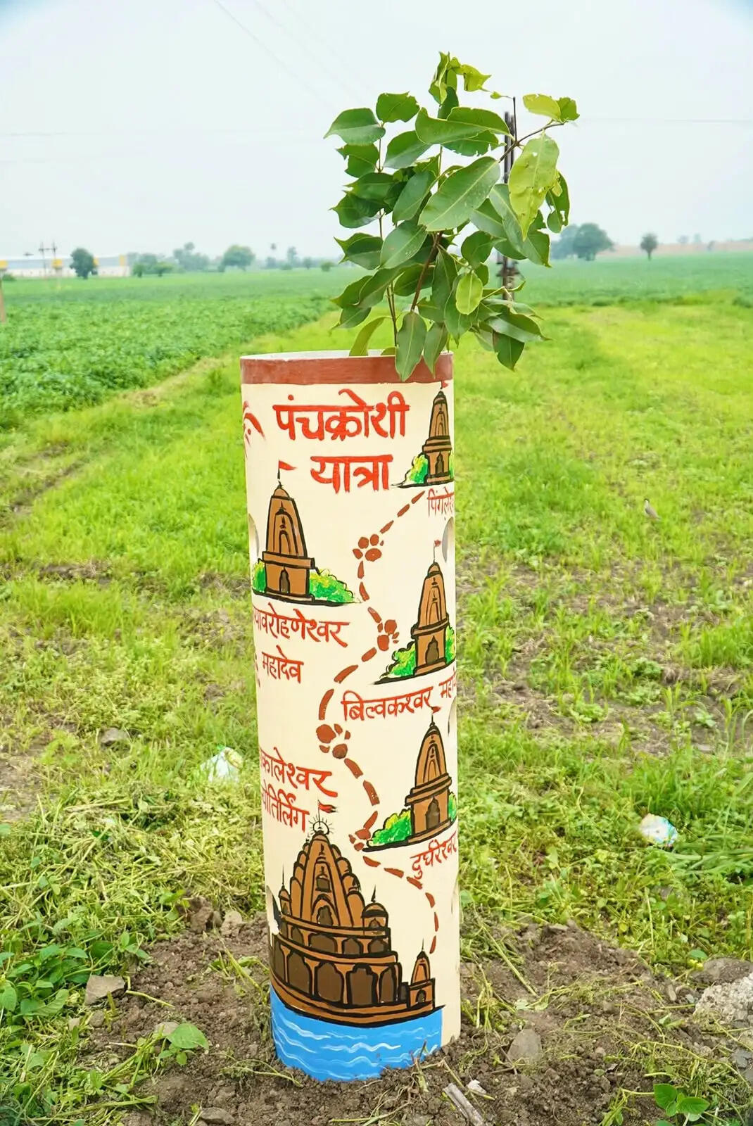 उज्जैन के पंचक्रोशी यात्रा मार्ग पर लगेंगे 50 हजार ऊंचे पौधे ,12 उपवन भी बनेंगे