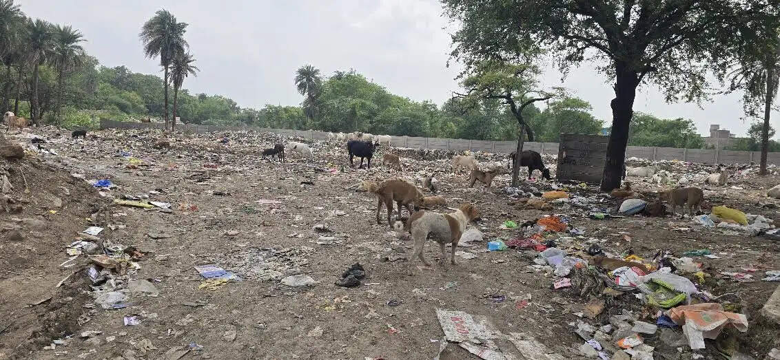 मंदसौर : कोर्ट रोड से ट्रेंचिंग ग्राउंड हटाने की मांग लेकर स्थायी लोक अदालत पहुंचे अधिवक्ता