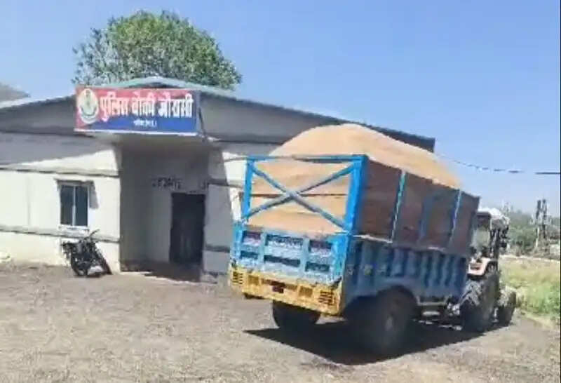 ग्वालियरः रेत के अवैध परिवहन पर कार्रवाई, पांच ट्रैक्टर-ट्रॉली जब्त