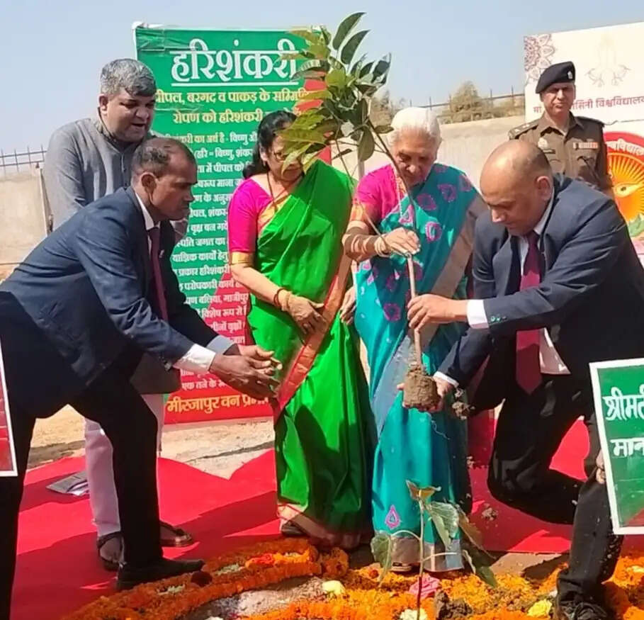 बहुआयामी शिक्षा केंद्र के रूप में विकसित करें मां विंध्यवासिनी विश्वविद्यालय : राज्यपाल