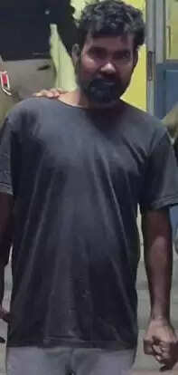 शहर की आबादी के बीच छत पर उगा दी अफीम, 252 पौधे बरामद