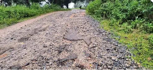 जर्जर सड़कों ने रोकी पेरवाघाघ-पाण्डुपुडिंग के पर्यटन विकास की रफ्तार