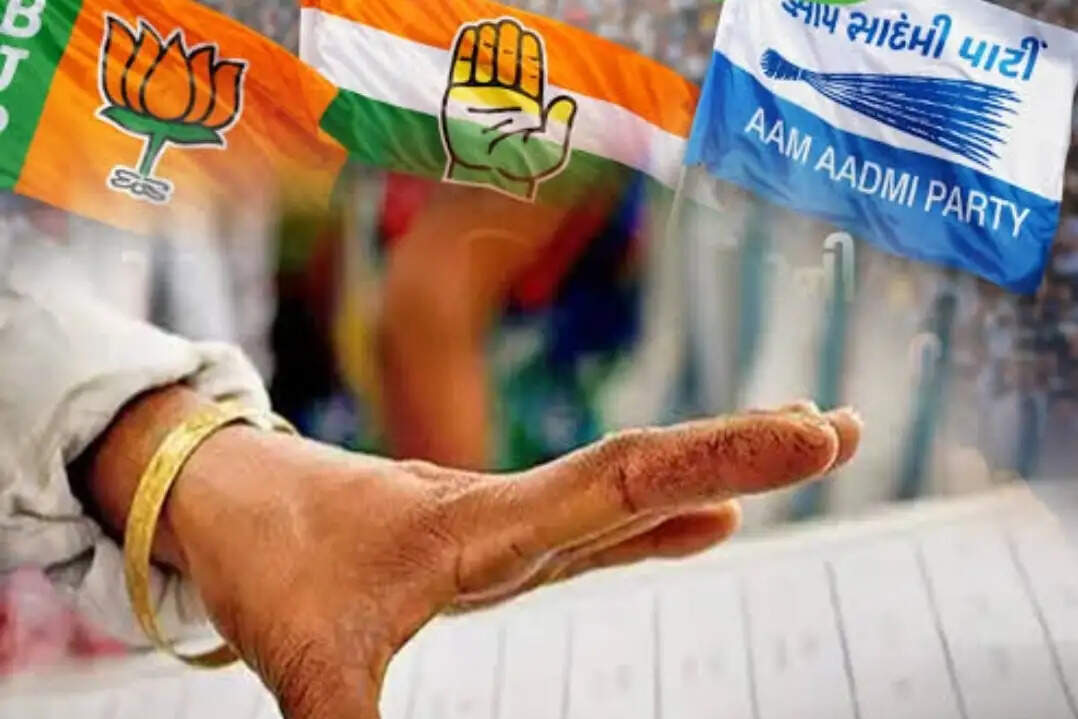 आरक्षण का खेल : तहसील पंचायत चुनाव में आआपा ने 16 में से 13 पर दर्ज की जीत, फिर भी अध्यक्ष बनेगा भाजपा का