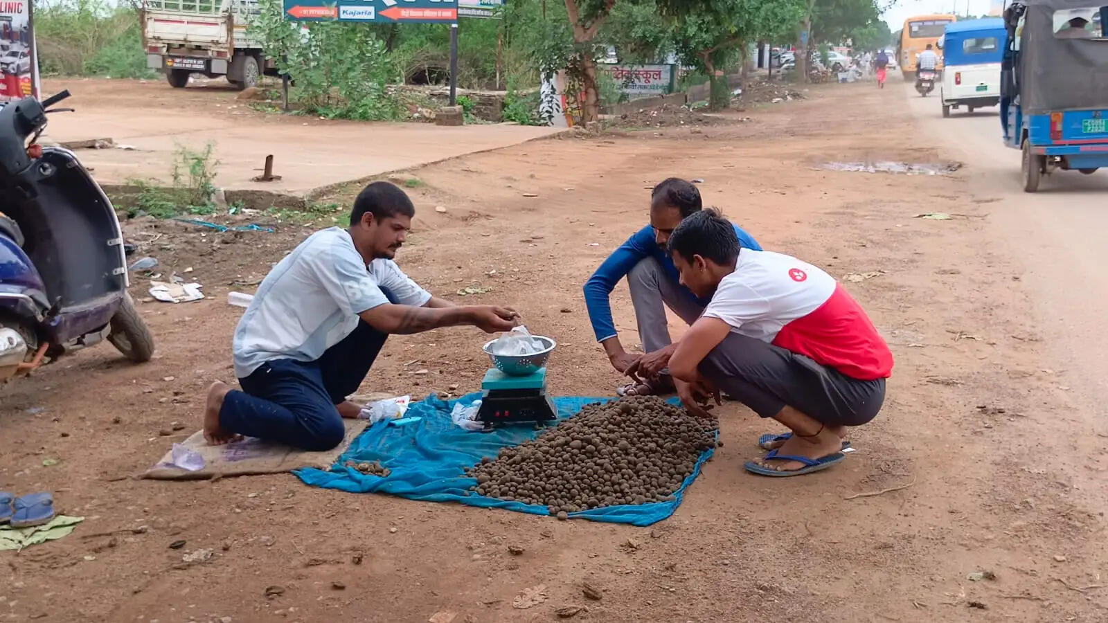 बारिश के साथ बाजार में लौटी मौसमी स्वाद की बहार , 500 रुपये किलो तक बिक रहा बोड़ा