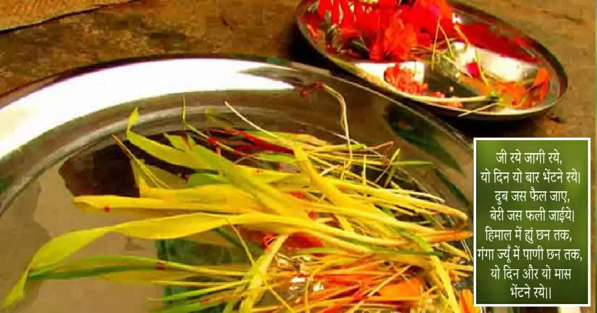 हरेला पर्व: उत्तराखंड में प्रकृति और संस्कृति का उत्सव, पर्यावरण संरक्षण का संदेश