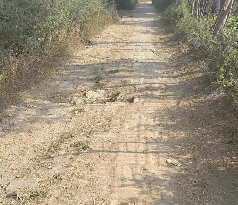 देवरिया की बंगरुआ वितवारी टोला की सड़क 15 साल से अधूरी, ग्रामीणों के लिए मुश्किल का सबब बनी