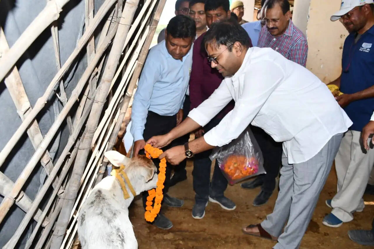 जिलाधिकारी ने बढ़ती गर्मी के दृष्टिगत गौशाला का किया निरीक्षण