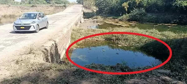 हरदा : बिना रेलिंग वाला पुल दे रहा हादसों को न्योता, अनदेखा कर रहे अधिकारी