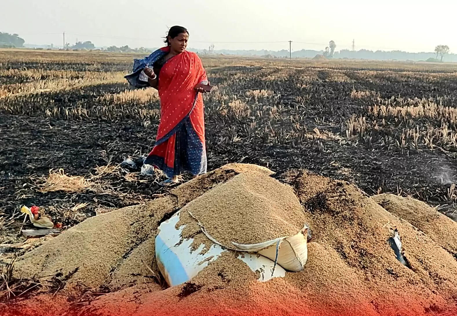 दांतन में पराली जलाने से लगी आग, बड़ी मात्रा में धान जलकर नष्ट