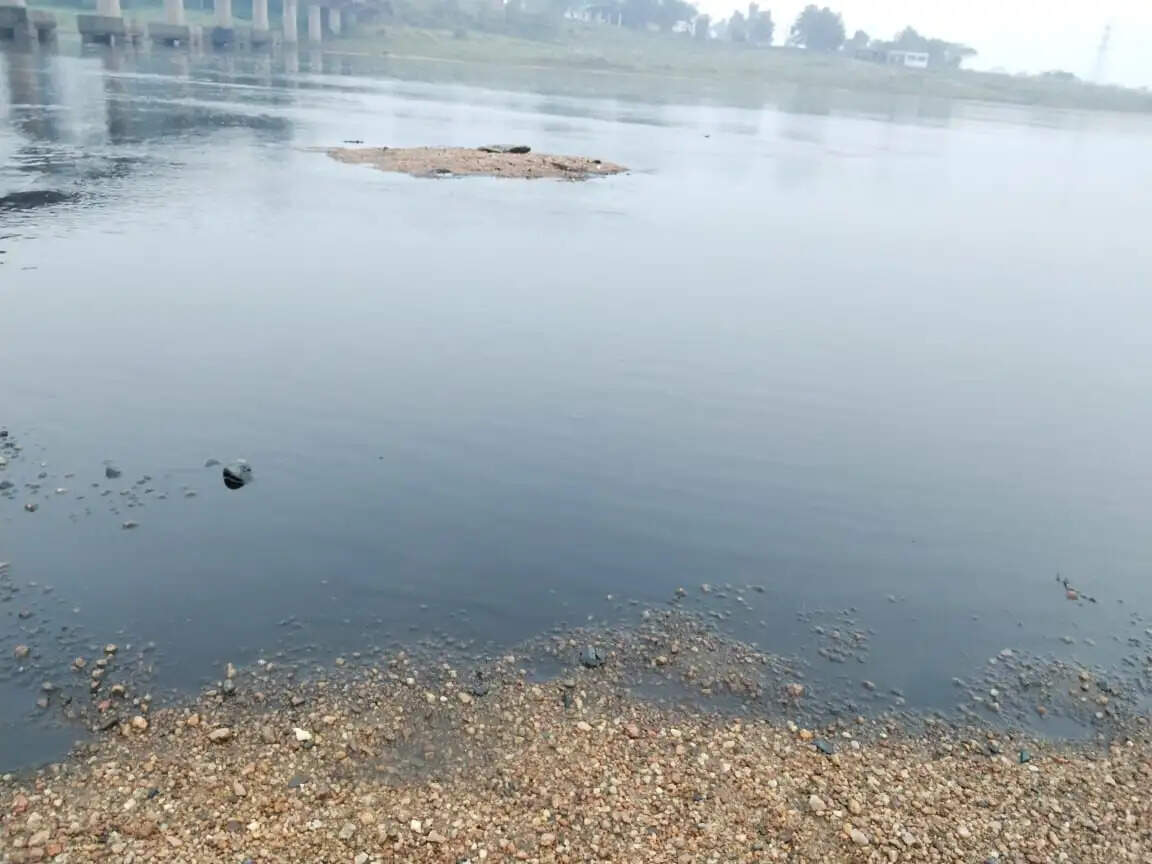कथारा वाशरी तटबंध टूटने पर सरयू राय ने की सीसीएल पर कार्रवाई की मांग