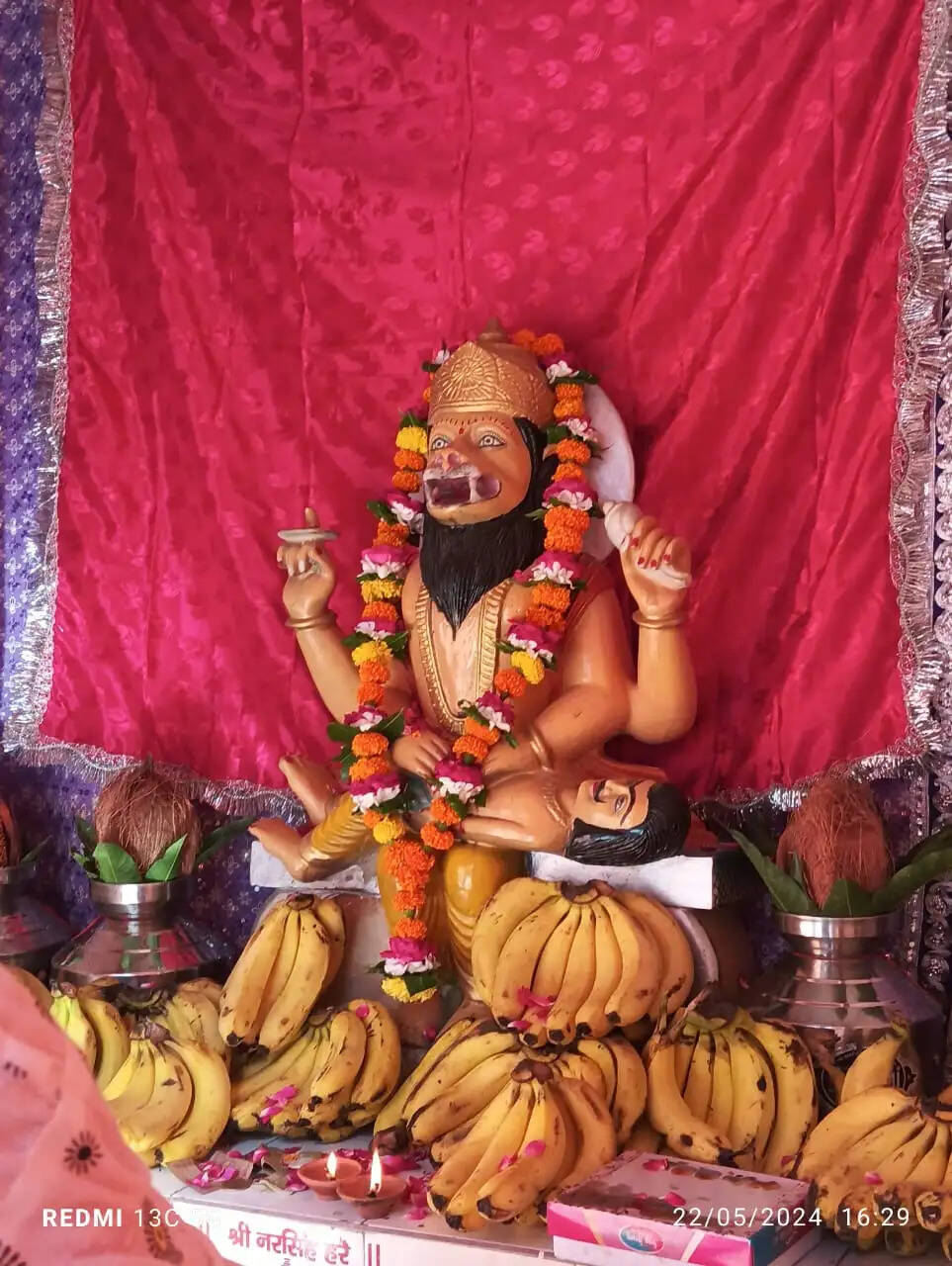 धूमधाम से मना नर्सिंग भगवान का जन्मोत्सव