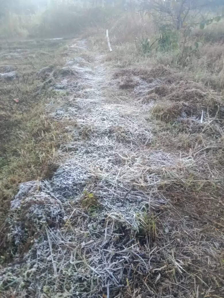 अनूपपुर: नर्मदा उद्गम स्थल अमरकंटक में जमी बर्फ की चादर, कोहरे से ढका शहर