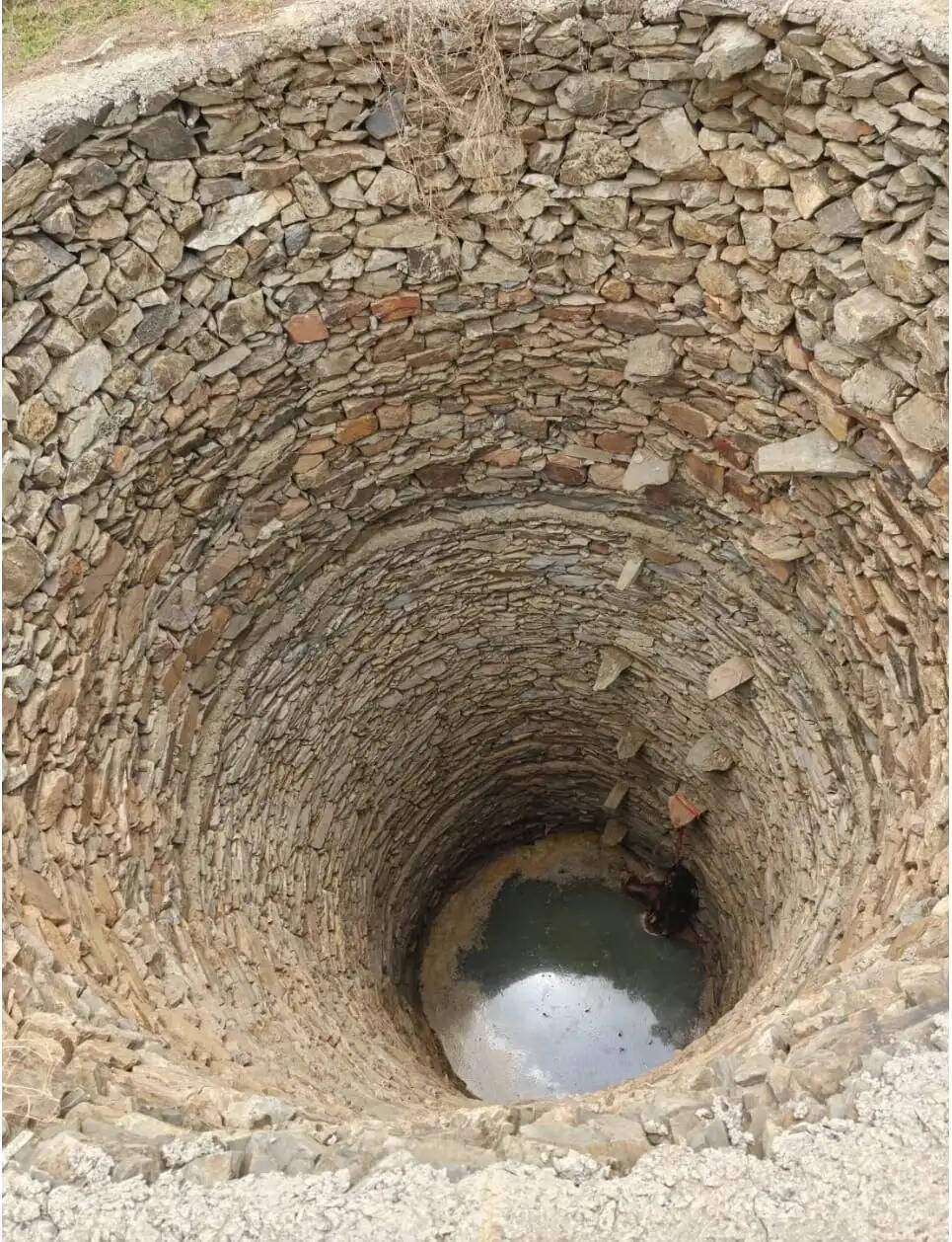 कुएं से युवती का सड़ा-गला शव बरामद, खुदकुशी की आशंका