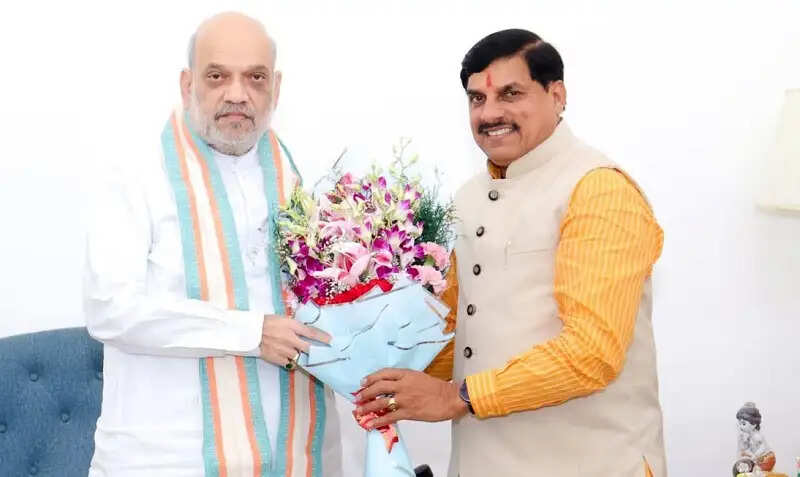 मप्र के मुख्यमंत्री ने नई दिल्ली में केन्द्रीय मंत्रियों से मुलाकात कर विभिन्न मुद्दों पर की चर्चा