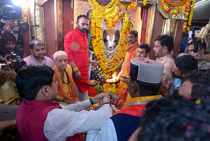 मप्रः मुख्यमंत्री डॉ. यादव ने भोपाल के खेड़ापति हनुमान मंदिर में की पूजा अर्चना