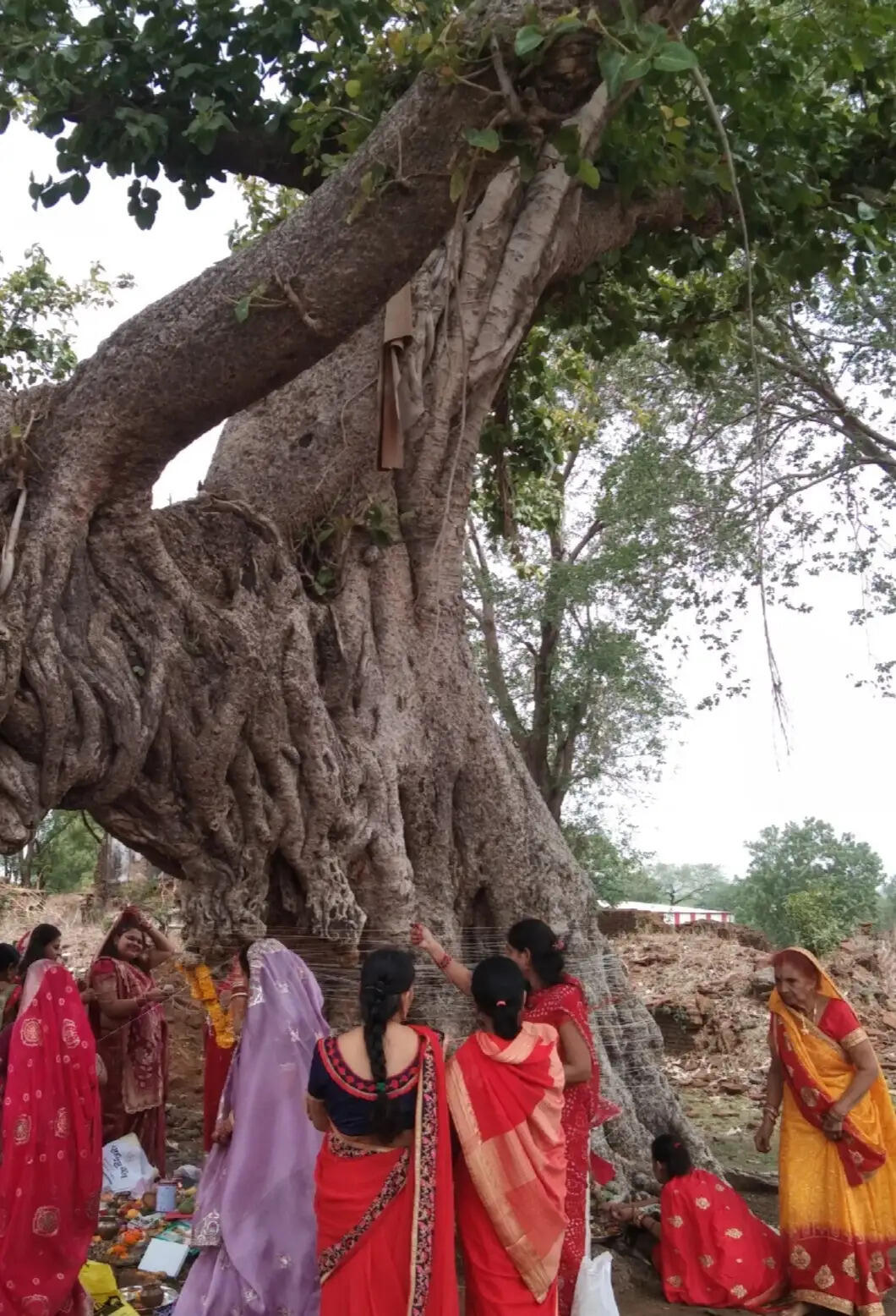 झाबुआ: ज्येष्ठ पूर्णिमा पर वट सावित्री पूजा के साथ श्रीहरि विष्णु मंदिरों में किया गया ज्येष्ठा अभिषेक
