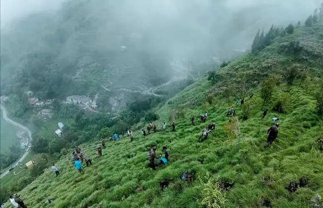 हरेला सप्ताह: 130 इन्फैंट्री बटालियन ने बनानी में रोपे 10 हजार पौधे