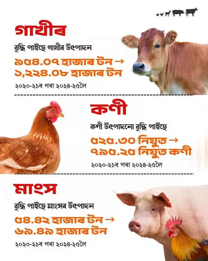 पशुधन क्षेत्र के तीन महत्वपूर्ण खंडों में आगे बढ़ रहा असम : मुख्यमंत्री