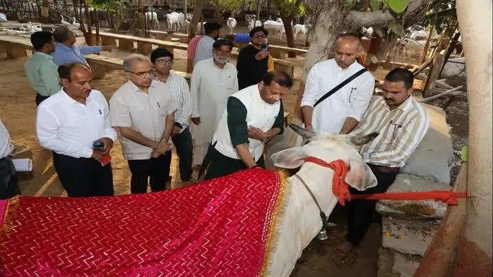ग्वालियरः पवैया ने आदर्श गौशाला लालटिपारा के सीएनजी प्लांट का लिया जायजा