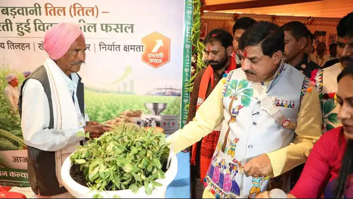 मप्रः मुख्यमंत्री ने निमाड़-मालवा के लोक देवता भीलट देव की पूजा-अर्चना कर सभी की समृद्धि के लिए कामना की