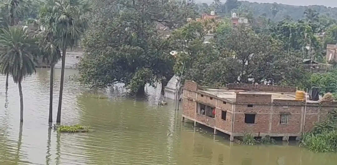 नाथनगर में बाढ़ का तांडव, स्कूल डूबे, गांवों का संपर्क टूटा, घुटने भर पानी में जाने को मजबूर नौनिहाल
