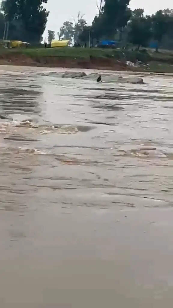 रामानुजगंज : एनीकट पार करते समय तेज बहाव में बहा युवक, 500 मीटर तक दिखा बहता, तलाश जारी