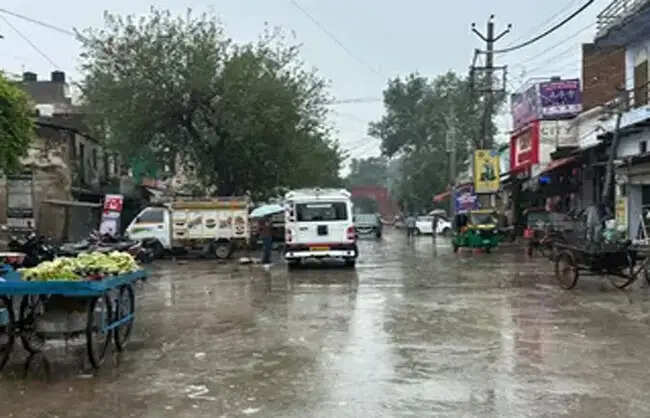 रेवाड़ी में 80 एमएम बारिश से जलभराव, मंडी में भीगा सैकड़ों क्विंटल बाजरा