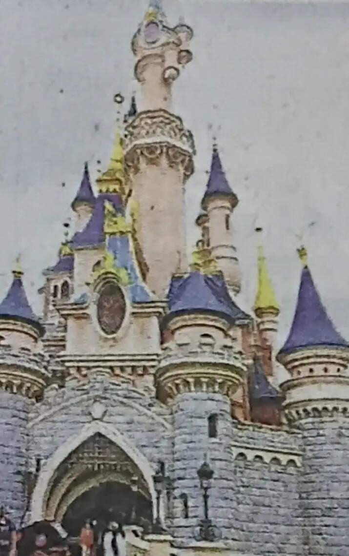 अरगोड़ा में डिजनीलैंड के प्रारूप पर बनेगा दुर्गा पूजा पंडाल, 14 फीट ऊंची होगी मां दुर्गा की प्रतिमा