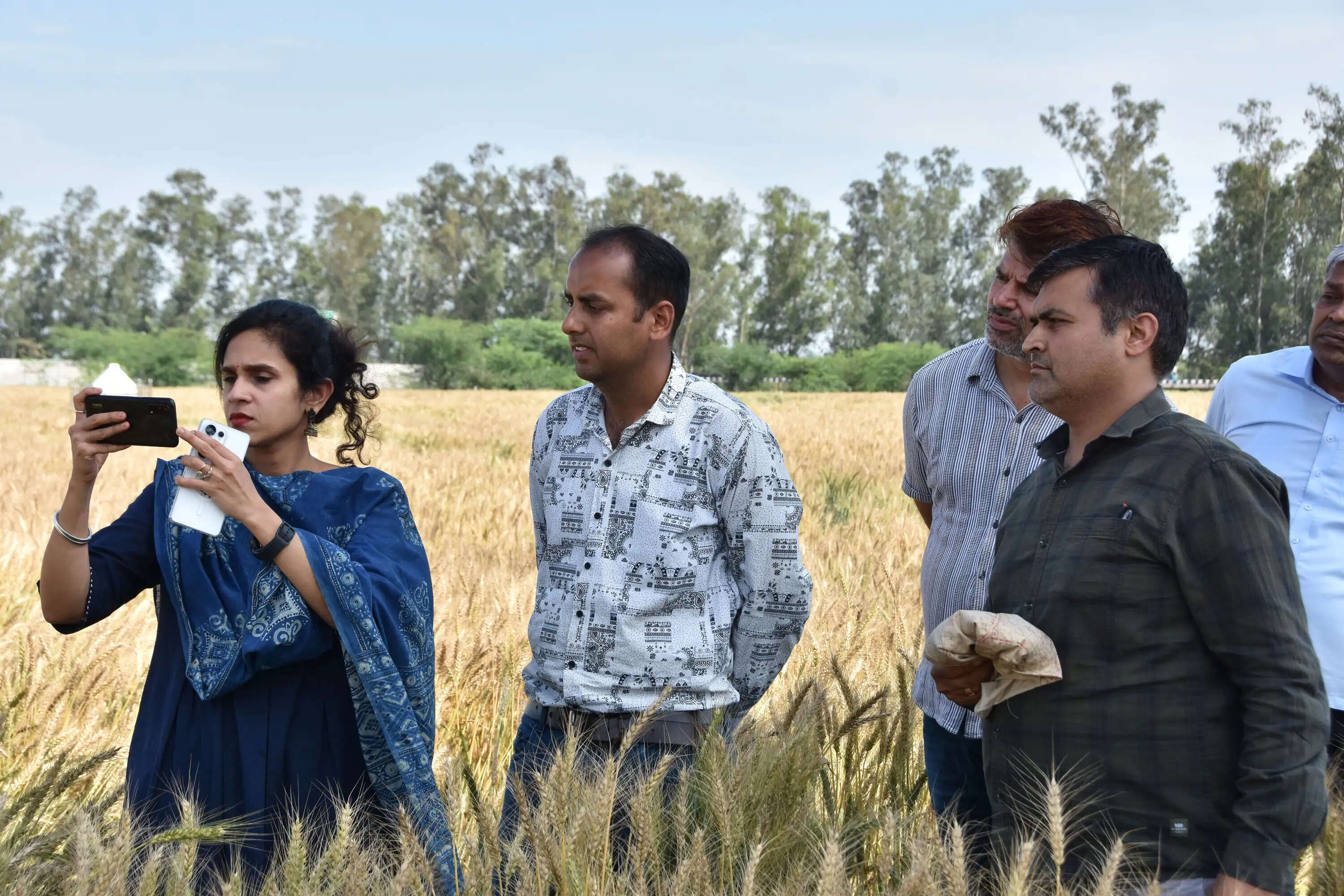 कैथल: जब डीसी उतरीं गेहूं के खेतों में, खुद किया डिजिटल क्रॉप सर्वे का निरीक्षण