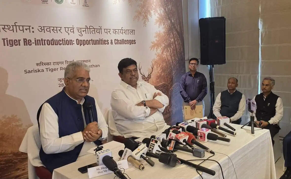 सरिस्का में बाघों की संख्या 56 पहुंची, जल्द 100 का लक्ष्य : भूपेन्द्र यादव
