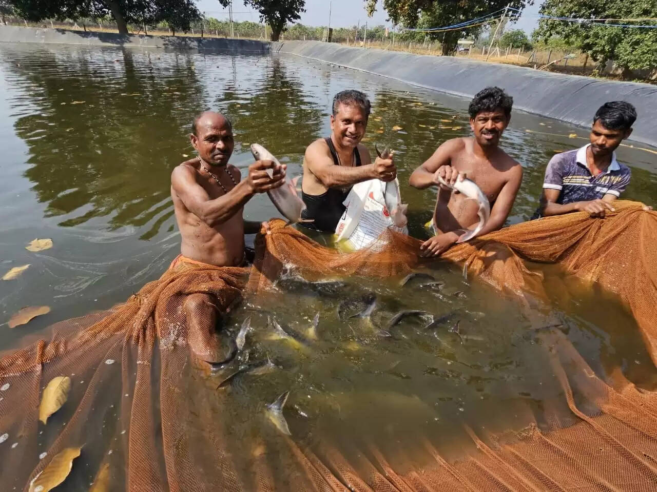 बॉयोफ्लॉक तकनीक से मछली पालन कर संजय सुमन ने कमाए साल में 3.20 लाख
