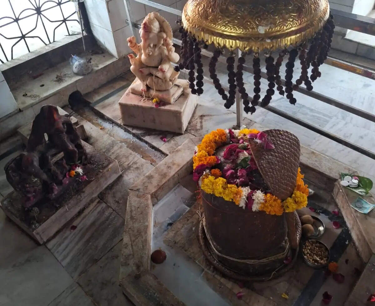 प्रति वर्ष चावल के आकार में बढ़ता है मनासर बाबा मंदिर का शिवलिंग