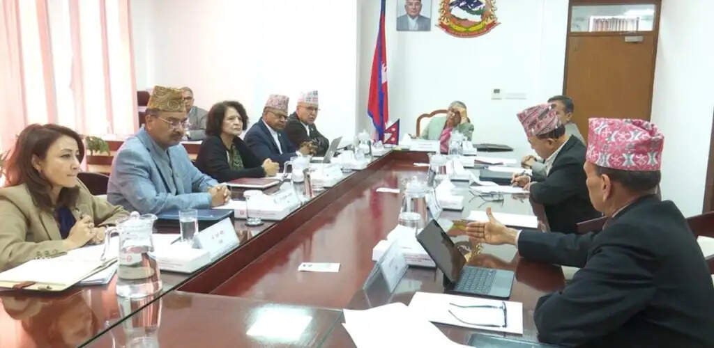 संसदीय चुनाव के लिए चीन से 40 लाख यूएस डॉलर का सहयोग स्वीकार करेगा नेपाल