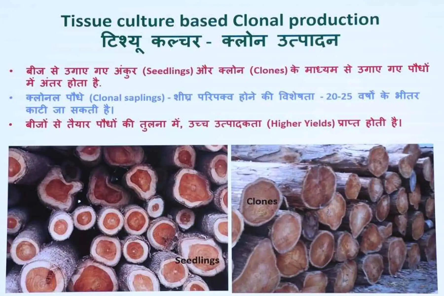 टिश्यू कल्चर तकनीक से किसानों को मिलेगा अधिक लाभ : वन मंत्री केदार कश्यप
