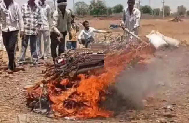 राजस्थान से कार्टन में भरकर मप्र लाई गईं 5 लोगों की अस्थियां, एक ही चिता पर हुआ अंतिम संस्कार