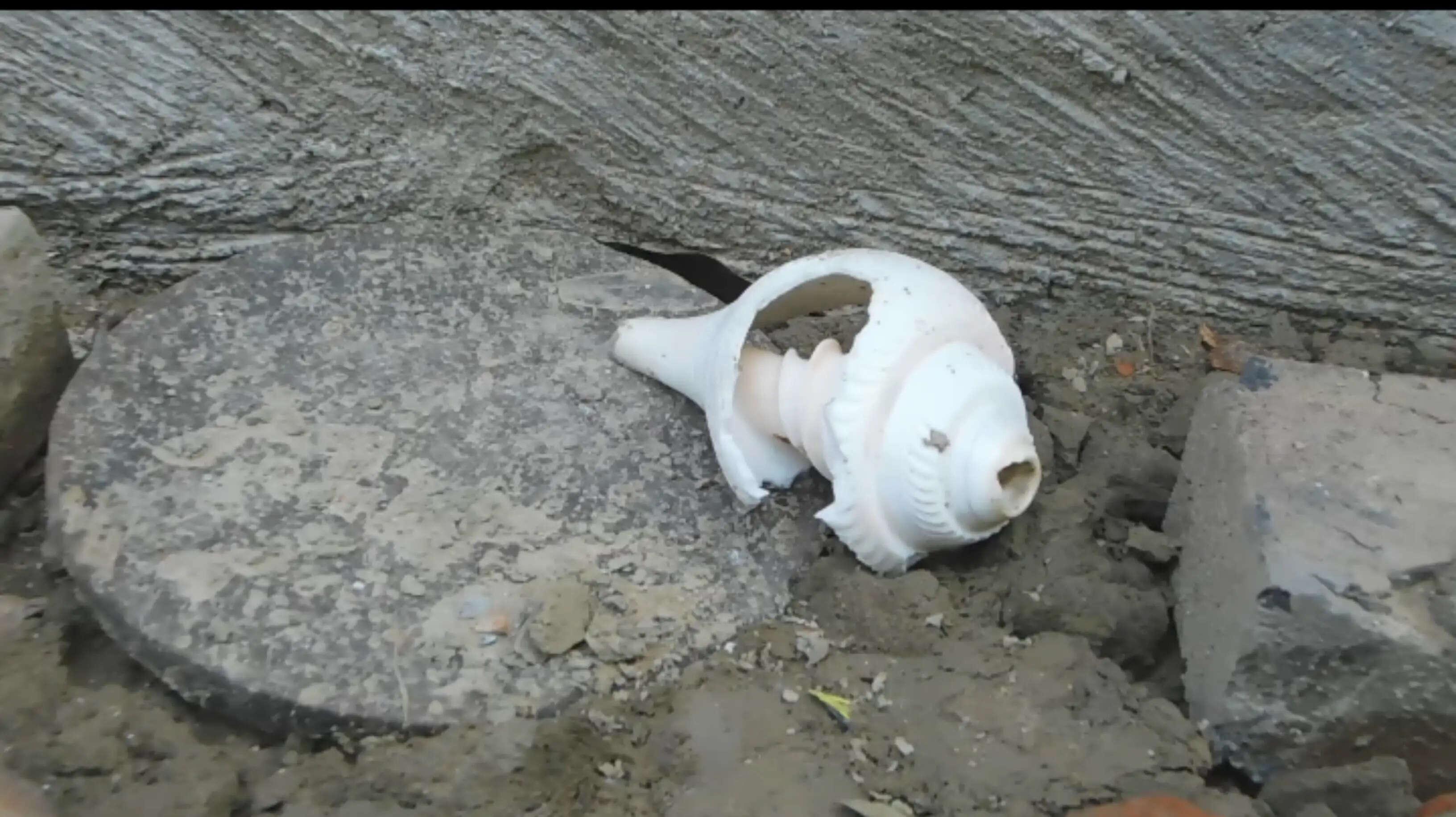 मुर्शिदाबाद डायरी-वे हमारे पड़ोसी थे, बहुत अच्छे संबंध थे लेकिन सब लूट ले गए