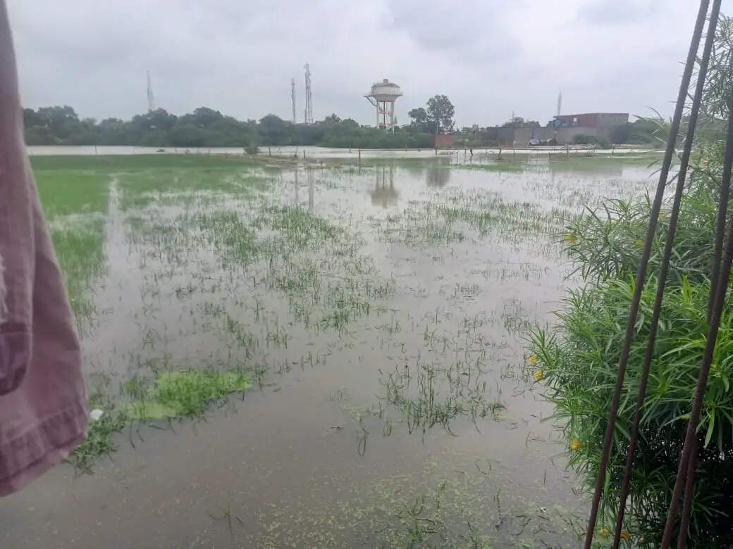 औरैया&nbsp;में&nbsp;चार फीट पानी में फंसे 20 लोग, राशन खत्म होने से बढ़ा संकट
