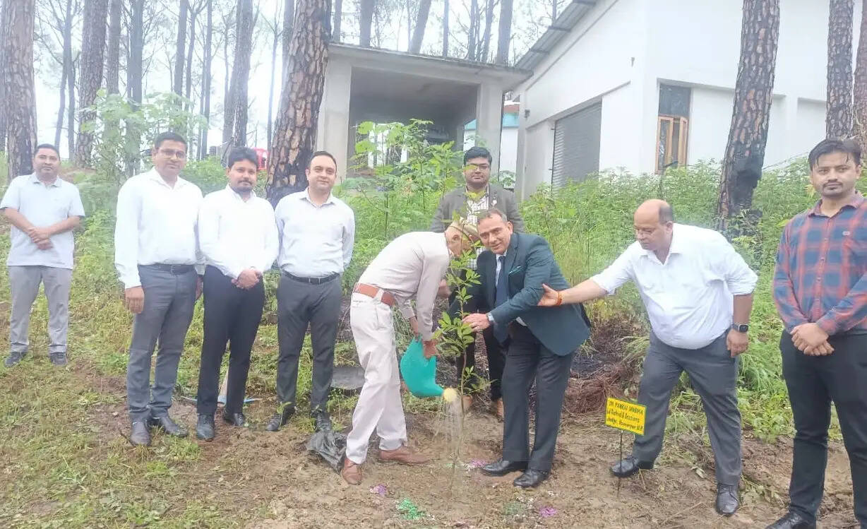 जिला विधिक सेवाएं प्राधिकरण ने आयोजित किया पौधारोपण कार्यक्रम