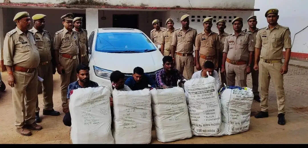 पचास लाख के गांजा संग 5 गिरफ्तार, उड़ीसा से लाकर पूर्वांचल में बेचते थे गांजा