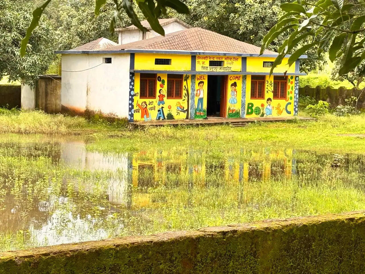 अनूपपुर: भरियाटोला के स्कूल-आंगनबाड़ी परिसर में महीनों से जलभराव, घुटने से अधिक पानी पार कर स्कूल पहुंच रहे बच्चे