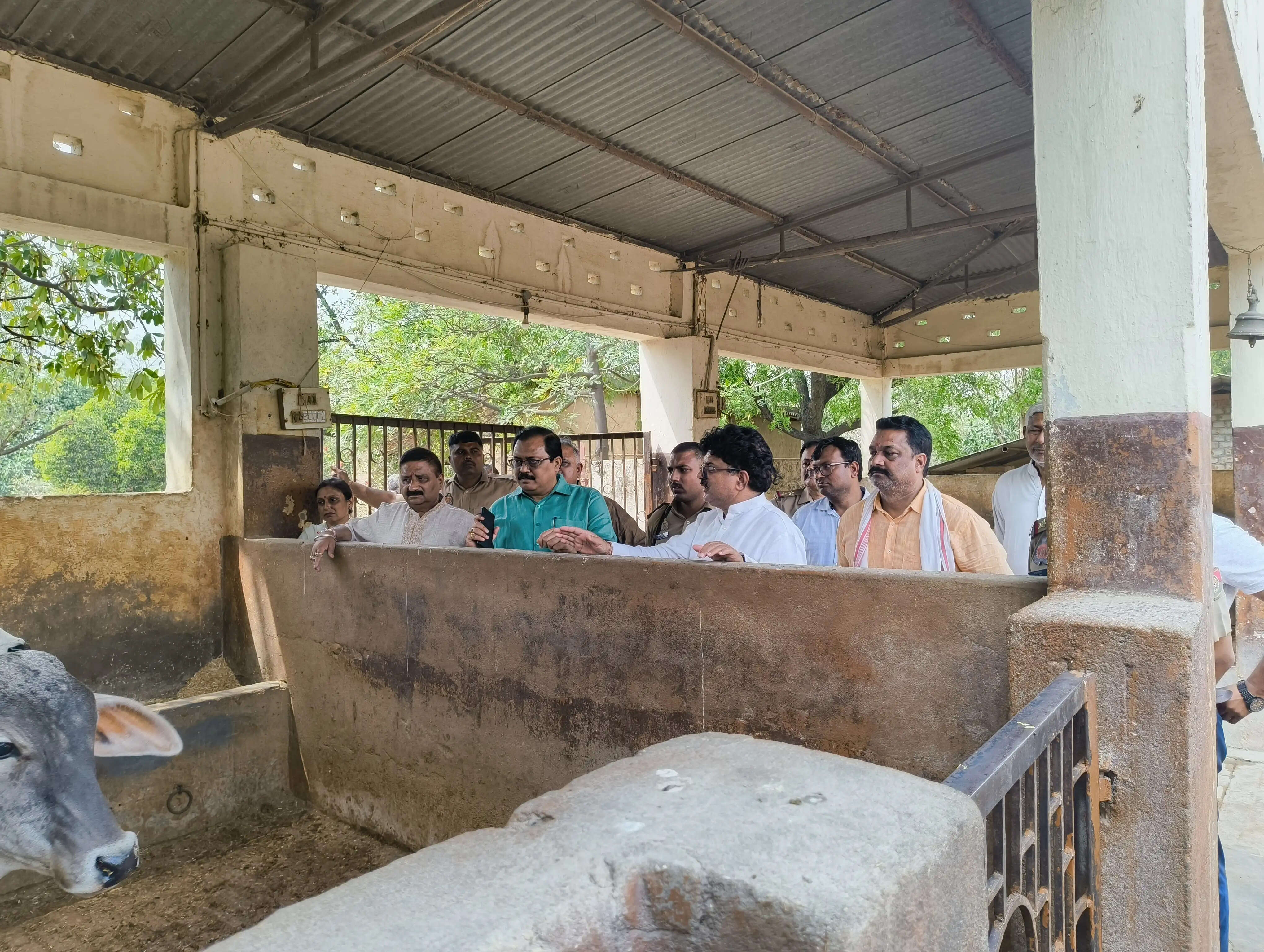 गौ आश्रय केंद्रों में अव्यवस्थाएं, उपाध्यक्ष ने लगाई फटकार