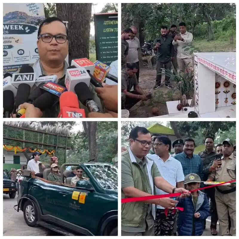 बांधवगढ़ के कोर एरिया में फिर शुरू हुई जंगल सफारी, एक माह तक बुकिंग फुल