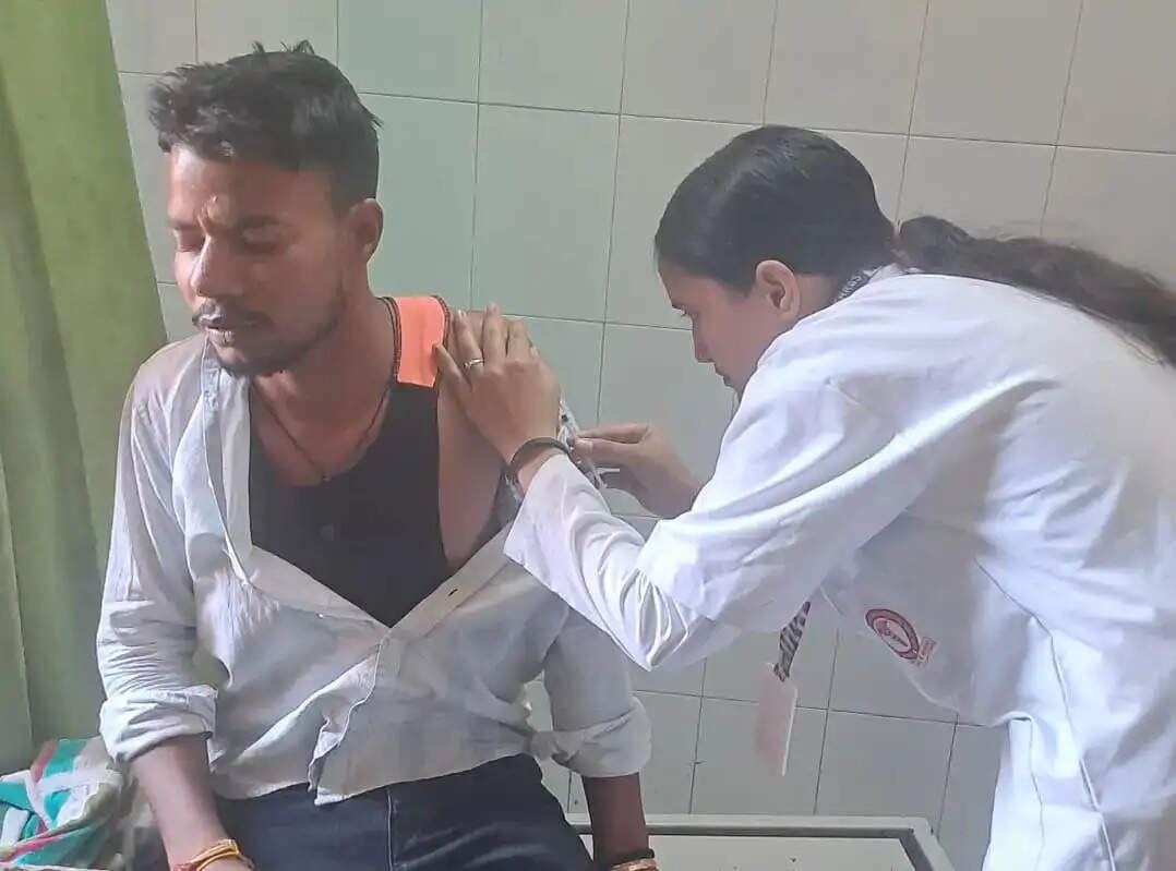 हाथरस : बंदर और स्ट्रीट डॉग्स के हमले बढ़े, लोगों ने उठाई पकड़ने की मांग