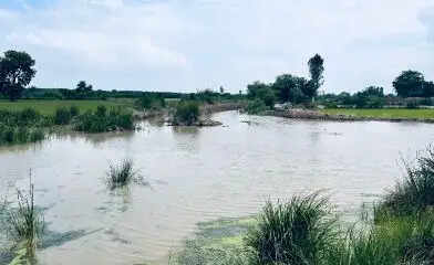 एक जिला एक नदी पुनरुद्धार पहल के तहत विलुप्त नून नदी का किया गया पुनरुद्धार