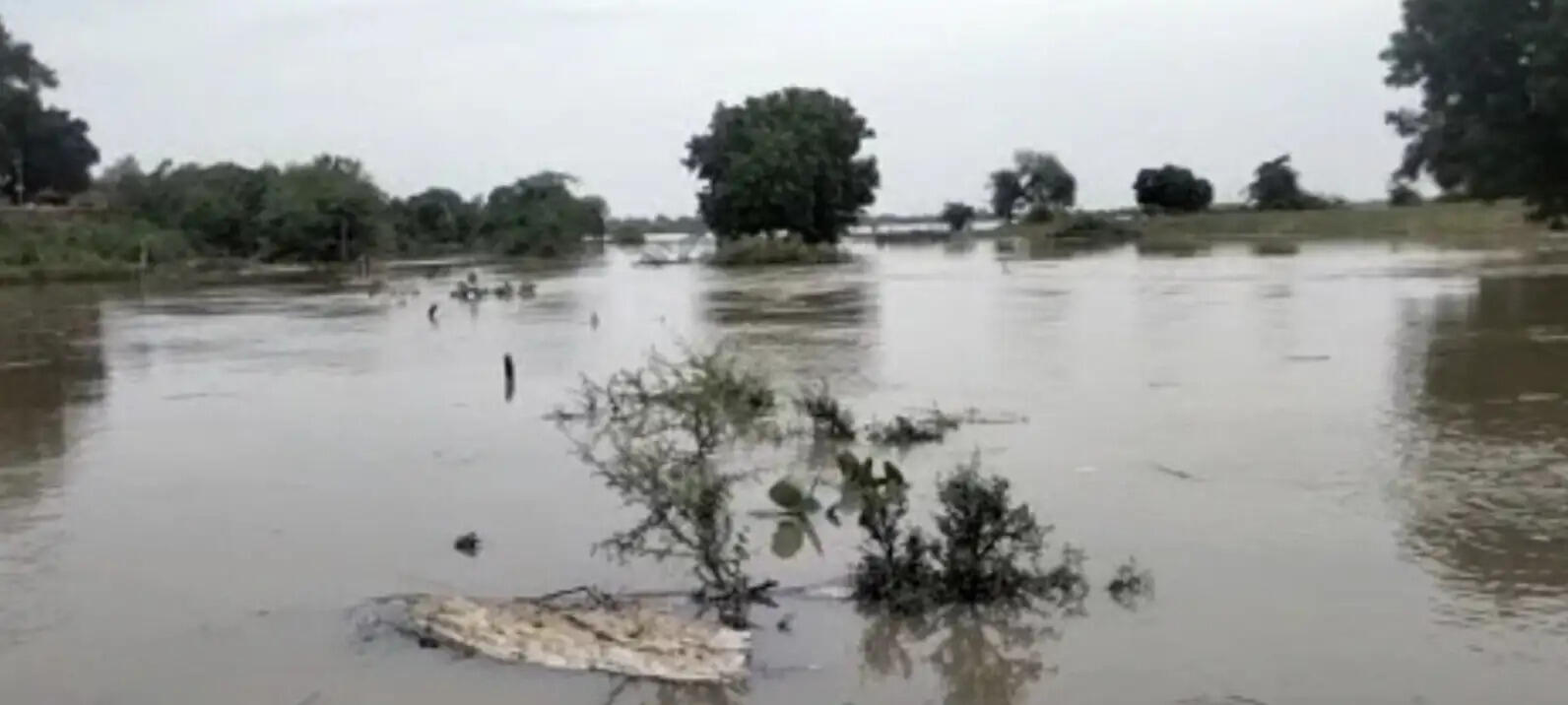 उप्र में बारिश और बाढ़ का दोहरा संकट, कई नदियां खतरे के निशान से ऊपर, 40 से अधिक जिलों में ऑरेंज अलर्ट