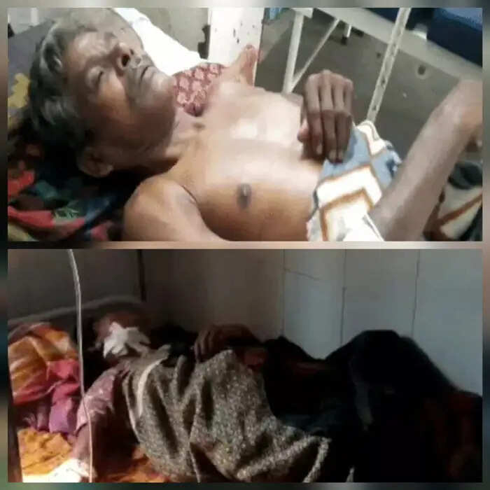कोंडागांव में वन्य प्राणी तेंदुए के हमले से एक परिवार के पांच घायल