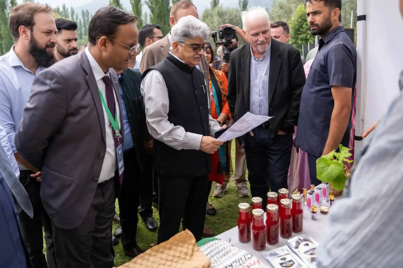 मुख्य सचिव ने आईएफएडी परियोजना साझेदारों के शिक्षण मंच 2026 का किया उद्घाटन