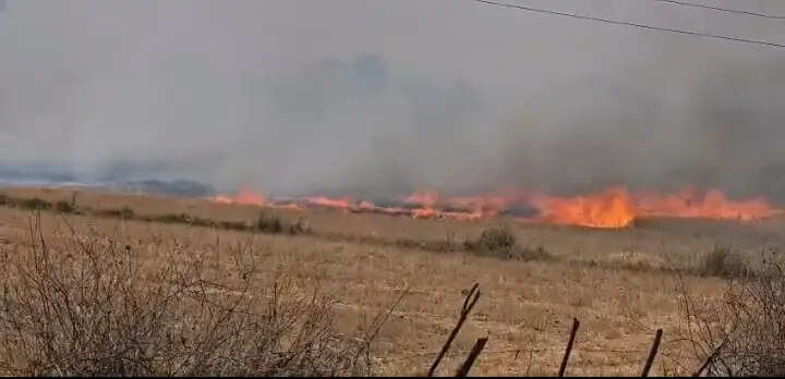 मैहर जिले में नरवाई जलाने से बढ़ रहीं आगजनी की घटनाएं, प्रशासन से सख्त कार्रवाई की मांग